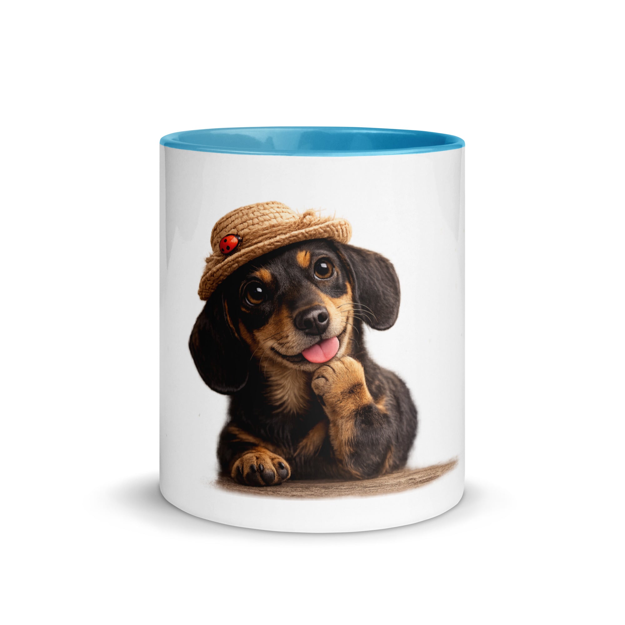 Dachshund accent mug 11 oz